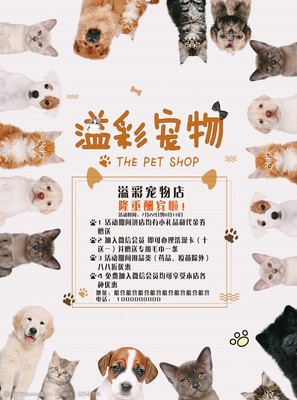 專業(yè)寵物服務(wù)，呵護(hù)愛寵健康與快樂